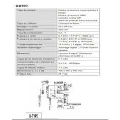 MOTEUR 389CC D25.4 DE SH 10A - HONDA 2