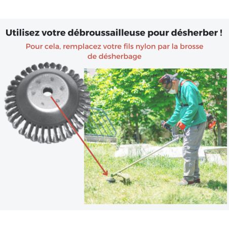 BROSSE DE DESHERBAGE ECOLOGIQUE 200 X 20 mm(EX B2010) - 476.250.01 BROSSE DE DESHERBAGE ECOLOGIQUE 200 X 20 mm(EX B2010) - 476.250.01