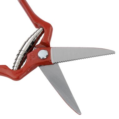 SECATEUR DE VENDANGES