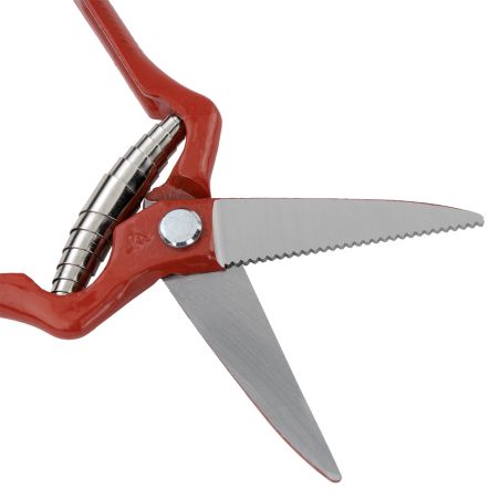 SECATEUR DE VENDANGES