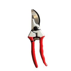 SECATEUR ARBRES FRUITIERS