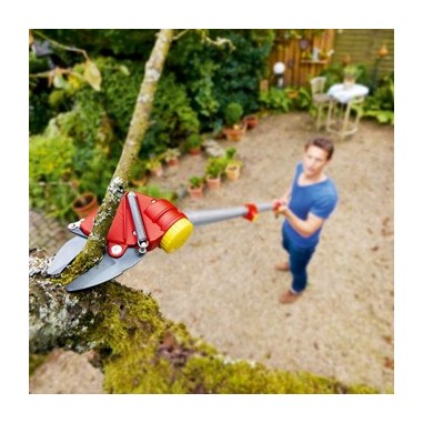 PERCHE ELAGUEUSE TELESCOPIQUE - DIAM...