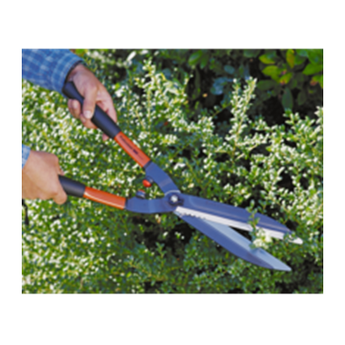 CISAILLE HAIE TRADITION - 58CM -...