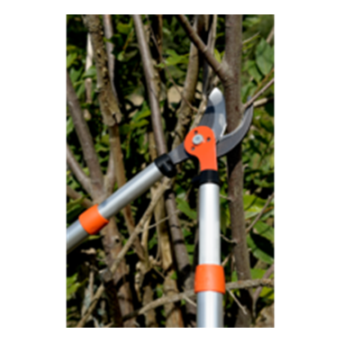 EBRANCHEUR TELESCOPIQUE BAHCO EXPERT...