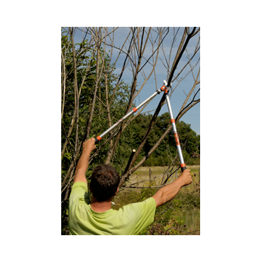 EBRANCHEUR TELESCOPIQUE BAHCO EXPERT...