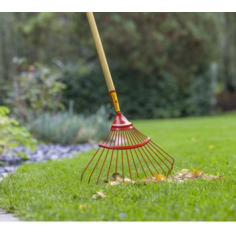 BALAI A FEUILLES 15 DENTS RONDES SANS MANCHES OUTILS WOLF ref 558 2