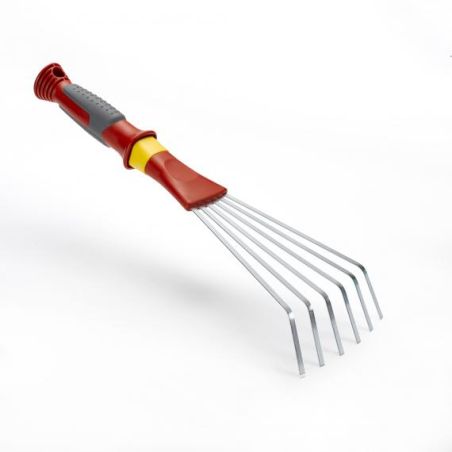 PETIT BALAI A MAIN - DENTS PLATES