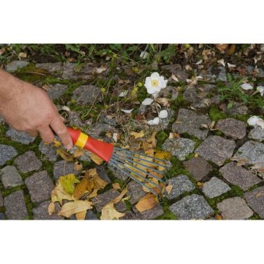 PETIT BALAI A MAIN - DENTS PLATES