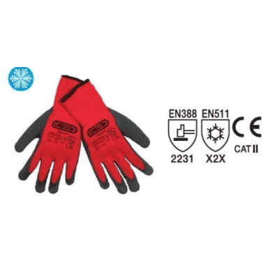 PAIRE DE GANTS DE TRAVAIL PAR TEMPS FROID THERMO - OREGON