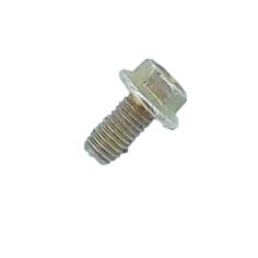 VIS (810036) PIECE D'ORIGINE Briggs & Stratton