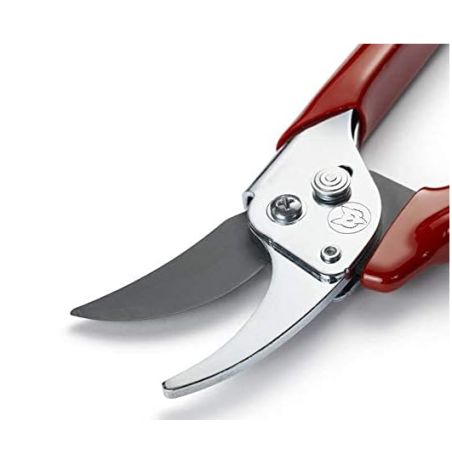 SECATEUR COUPE FRANCHE 18 MM - WOLF