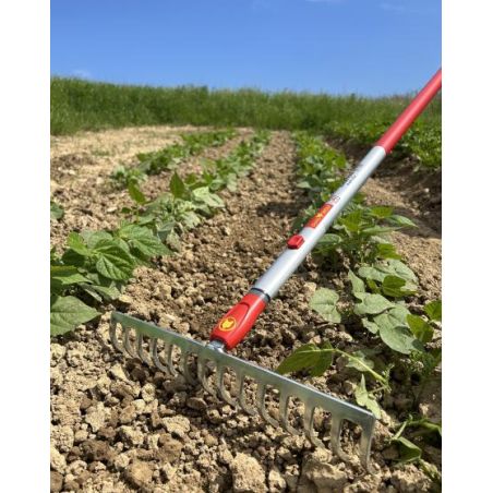 RATEAU - 14 DENTS COURBEES - MS - WOLF ref 837 RATEAU - 14 DENTS COURBEES - MS - WOLF ref 837