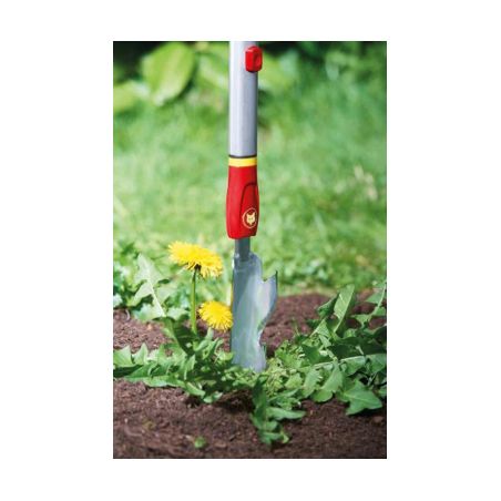 ECHARDONNOIR METAL GALVANISE IWM - MS OUTILS WOLF