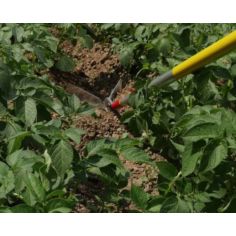 BUTTOIR 20CM - MS -OUTILS WOLF ref 882 2