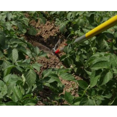 BUTTOIR 20CM - MS -OUTILS WOLF ref 882