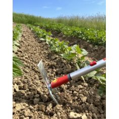 PETITE SERFOUETTE - 3 DENTS AVEC PANNE - MS -WOLF 2