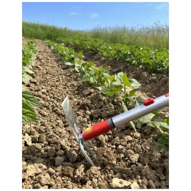 PETITE SERFOUETTE - 3 DENTS AVEC PANNE - MS -WOLF