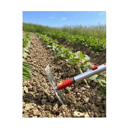 PETITE SERFOUETTE - 3 DENTS AVEC PANNE - MS -WOLF