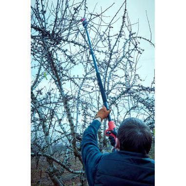 PERCHE POUR SECATEURS ELECTRIQUES REF EPR123P/EPR137P S'ETEND DE 1.57 M A 2.2 M - BELLOTA