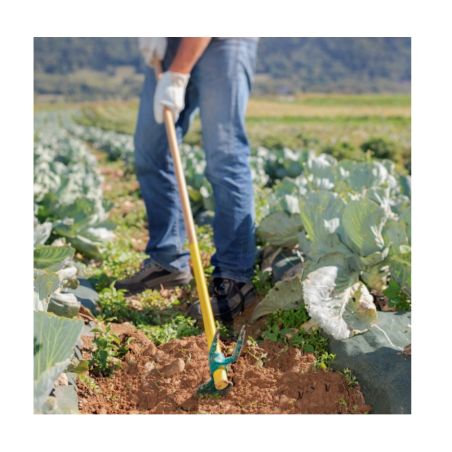 SERFOUETTE FORGEE - 30 CM - PANNE ET FOURCHE - MANCHE BOIS - LEBORGNE