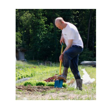 BECHE PLATE A REBORD hauteur 28cm largeur 20cm - MANCHE BEQUILLE - LEBORGNE