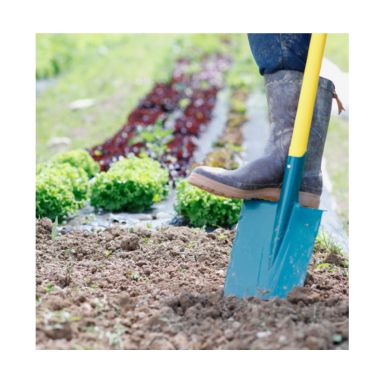 BECHE PLATE A REBORD hauteur 28cm largeur 20cm - MANCHE BEQUILLE - LEBORGNE