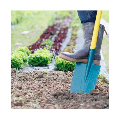 BECHE PLATE A REBORD hauteur 28cm largeur 20cm - MANCHE BEQUILLE - LEBORGNE