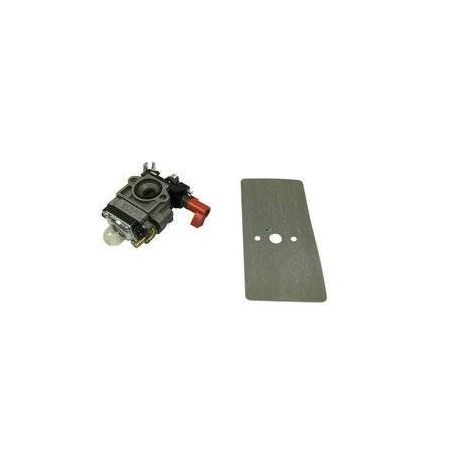 CARBURATEUR AVEC JOINT POUR FBS 25 A1 -13602032- D'ORIGINE PARKSIDE 13602032