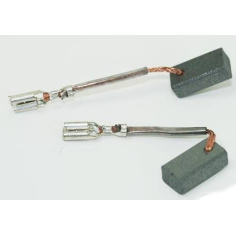 LOT DE 2 CHARBONS POUR COUPE BORDURE FLORABEST 430- PARKSIDE 91096948