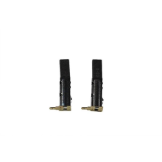 CHARBONS POUR NETTOYEUR HP PARSIDE PHD 100 A1-E2- PARKSIDE 91096779