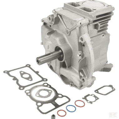 SHORT BLOCK D22X80 DOV EX 795156 BRIGGS STRATTON