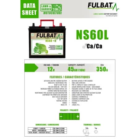 BATTERIE PRETE A L'EMPLOI NS60 12V 45Ah+G - L:236 l:128 H:222
