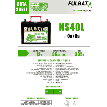 BATTERIE PRETE A L'EMPLOI NS40 12V 36Ah+D - L:195 l:126 H:221