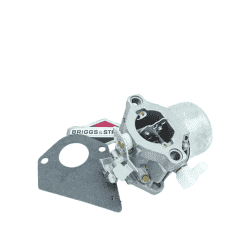 CARBURATEUR COMPLET (495780... 2