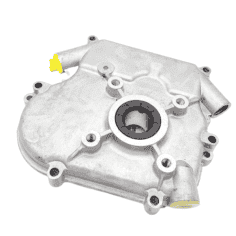 CARTER (493916) PIECE D'ORIGINE Briggs & Stratton