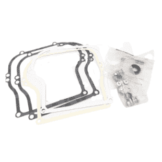 CARTER (493916) PIECE D'ORIGINE Briggs & Stratton 2