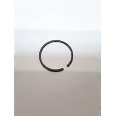 SEGMENT - PIECE DETACHEE...