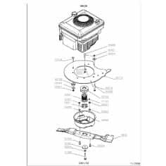 VIS HM 8 X 60 - PIECE...