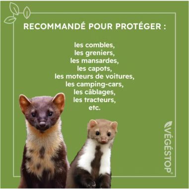 REPULSIF FOUINES ET MARTES - VAPORISATEUR 500ML - VEGESTOP