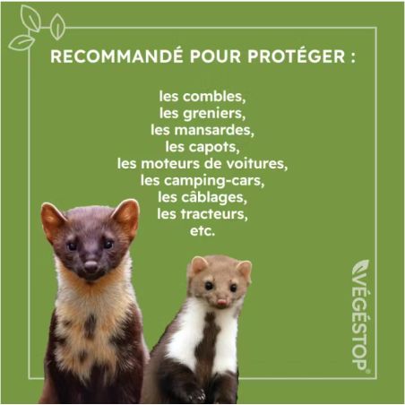 REPULSIF FOUINES ET MARTES - VAPORISATEUR 500ML - VEGESTOP