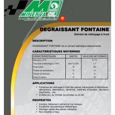 DEGRAISSANT PROFESSIONEL - 25L - MINERVA 2