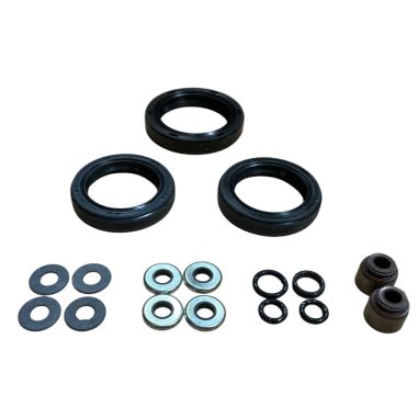 POCHETTE DE JOINTS MOTEUR COMPLETE (EX 842658, 808617) - D'ORIGINE - BRIGGS & STRATTON