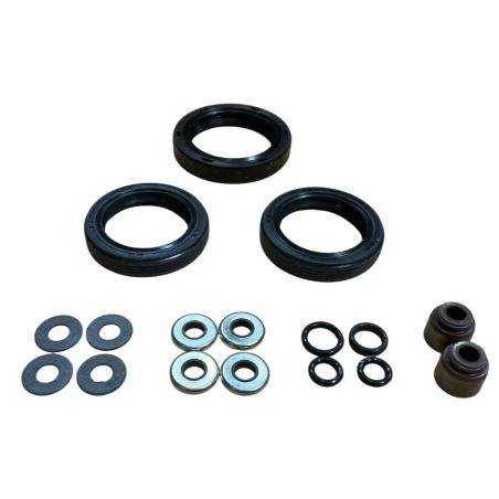 POCHETTE DE JOINTS MOTEUR COMPLETE (EX 842658, 808617) - D'ORIGINE - BRIGGS & STRATTON