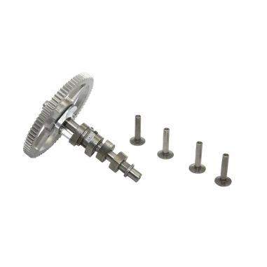 ARBRE A CAMES (EX 792555 / 790562) - PIECE D'ORIGINE BRIGGS & STRATTON
