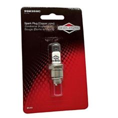 BLISTER DE LA BOUGIE 992359C - BRIGGS & STRATTON 