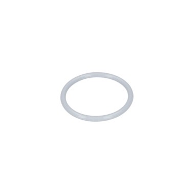 JOINT TORIQUE    160021007U  D'ORIGINE BOSCH