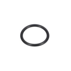 JOINT TORIQUE   16002100AC  D'ORIGINE BOSCH