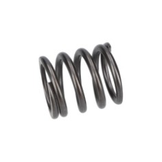 RESSORT DE COMPRESSION    1604619010  D'ORIGINE BOSCH