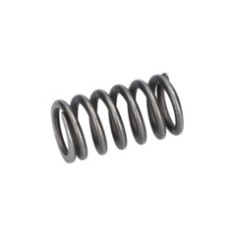 RESSORT DE COMPRESSION    1604619017  D'ORIGINE BOSCH