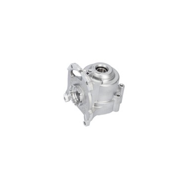 SOUS-ENSEMBLE CARTER    1607000DC3  D'ORIGINE BOSCH